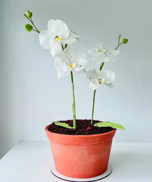 Bolo artístico em formato de vaso com orquídeas brancas realistas feito pela Alegra Cakes em Florianópolis