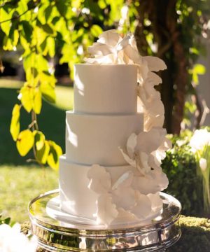 e668a8b3-729d-4192-aa33-8c815d10eb74